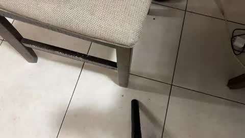 Carlos Nico online show from 02/28/26, 08:26