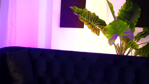 Sarah online show from 12/19/24, 11:35