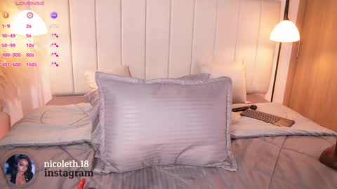 Snapshot of nicoleth18 chatting on 02/27/25, 12:23 nicoleth18 online show from 02/27/25, 12:23