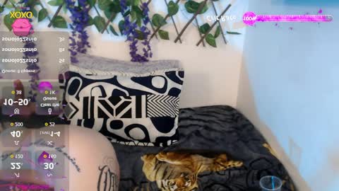 Nicolle ardila online show from 04/11/26, 10:25