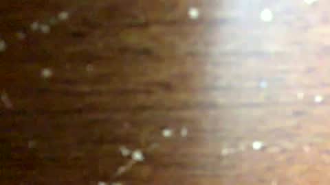 nightmoves1970 online show from 02/18/26, 03:46