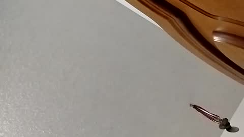 Snapshot of nightnightlol chatting on 02/11/25, 03:08 nightnightlol online show from 02/11/25, 03:08