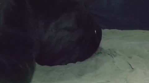 Watch us Fuck online show from 03/08/25, 05:07