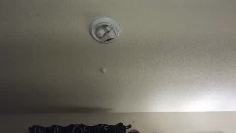 Snapshot of nikkimasters1091 chatting on 11/27/25, 12:29 Nikki Mastersgirl1091 online show from 11/27/25, 12:29