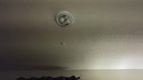 Snapshot of nikkimasters1091 chatting on 12/04/25, 02:15 Nikki Mastersgirl1091 online show from 12/04/25, 02:15