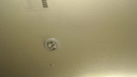 Snapshot of nikkimasters1091 chatting on 01/17/26, 02:22 Nikki Mastersgirl1091 online show from 01/17/26, 02:22