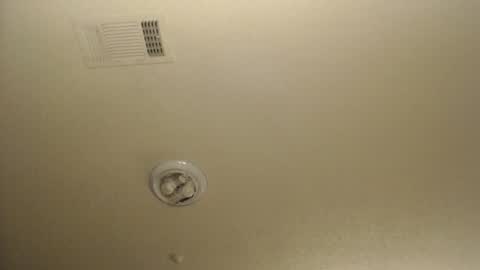 Snapshot of nikkimasters1091 chatting on 03/04/26, 01:50 Nikki Mastersgirl1091 online show from 03/04/26, 01:50