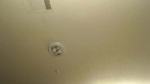 Snapshot of nikkimasters1091 chatting on 03/19/26, 01:15 Nikki Mastersgirl1091 online show from 03/19/26, 01:15