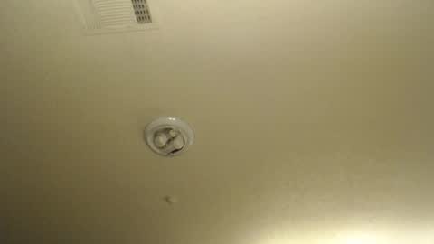 Snapshot of nikkimasters1091 chatting on 04/10/26, 01:38 Nikki Mastersgirl1091 online show from 04/10/26, 01:38