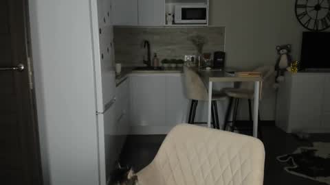 Bella online show from 02/21/26, 12:55