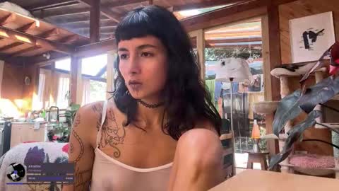 Snapshot of nina_just chatting on 11/30/25, 09:08 Nina. online show from 11/30/25, 09:08