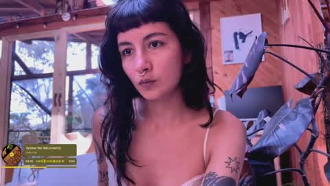 Nina.  online show from 05/11/26, 07:44