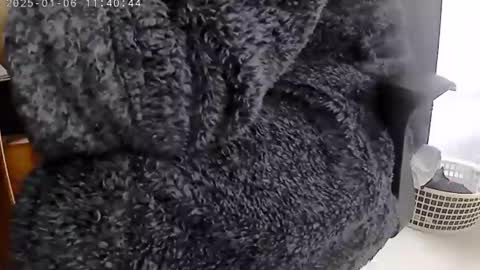 nineinchhard online show from 01/06/25, 11:40