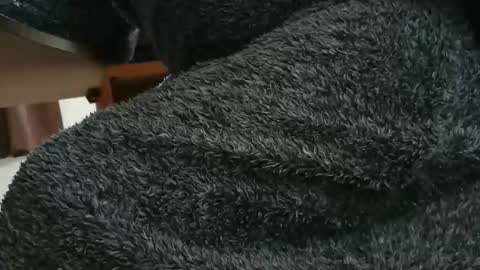 nineinchhard online show from 10/28/25, 10:19