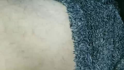 nineinchhard online show from 03/15/26, 02:12