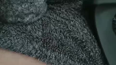 nineinchhard online show from 04/09/26, 09:15