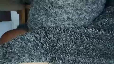 nineinchhard online show from 05/19/26, 09:37