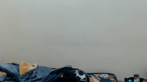 ninew online show from 08/01/26, 07:24