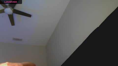 Nirvanafox7 online show from 12/08/24, 09:19