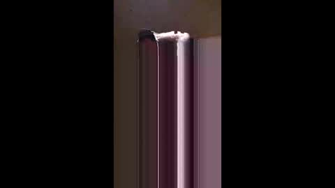 nj695457 online show from 12/05/25, 12:14