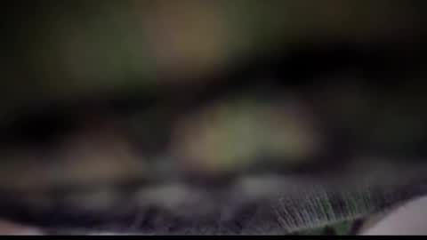 Tears Lora online show from 02/25/25, 05:08