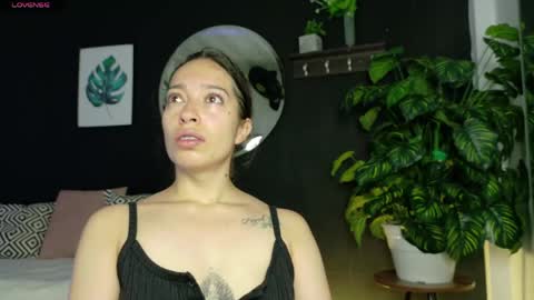 Noah  online show from 04/12/26, 03:33