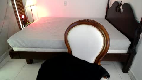 Noah  online show from 03/24/26, 07:41