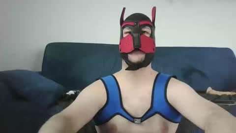 noapratzfr online show from 03/11/25, 12:39