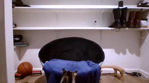 noboundariesinprivate online show from 06/05/26, 06:57
