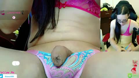 Nicol online show from 03/31/26, 10:54