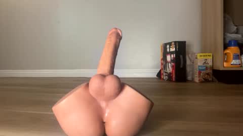 nocturnalhabits online show from 10/26/25, 09:21