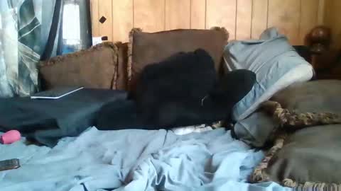 Snapshot of noliana420 chatting on 11/24/25, 05:12 Noliana online show from 11/24/25, 05:12