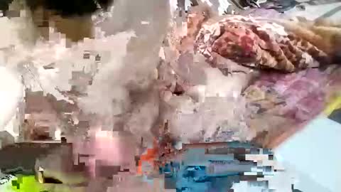 Snapshot of nooby942461 chatting on 01/26/25, 09:29 sim nib online show from 01/26/25, 09:29