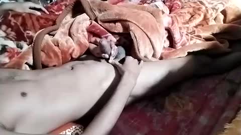 Snapshot of nooby942461 chatting on 01/28/25, 06:38 sim nib online show from 01/28/25, 06:38