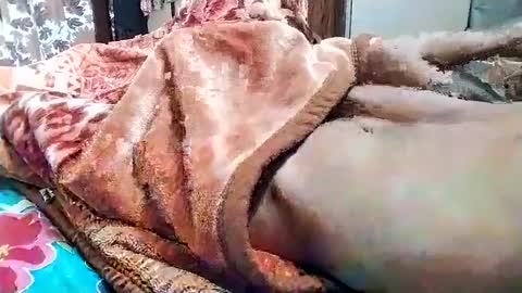 Snapshot of nooby942461 chatting on 03/01/25, 05:31 sim nib online show from 03/01/25, 05:31