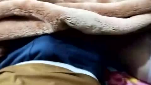 sim  nib online show from 01/12/26, 09:09