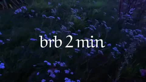 Noori online show from 04/04/26, 10:07