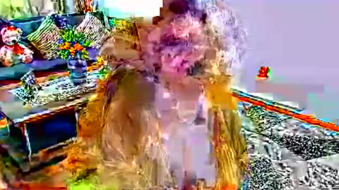 Snapshot of noraj66 chatting on 03/23/26, 01:59 noraj66 online show from 03/23/26, 01:59