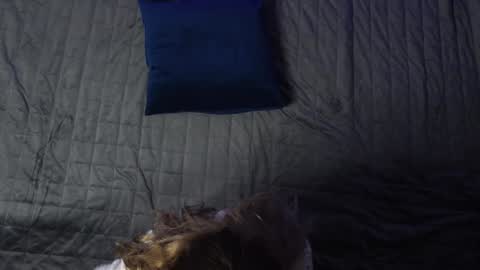 Eva online show from 12/11/24, 12:12