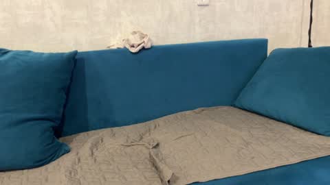 Eva online show from 12/29/24, 12:55