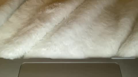 noscandal online show from 12/21/25, 05:03