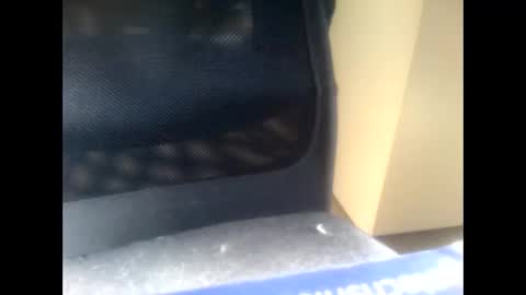 Snapshot of nostradamuslu chatting on 11/10/25, 08:24 nostradamuslu online show from 11/10/25, 08:24