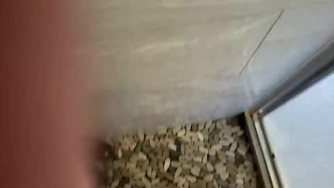 notme710 online show from 12/22/25, 05:32