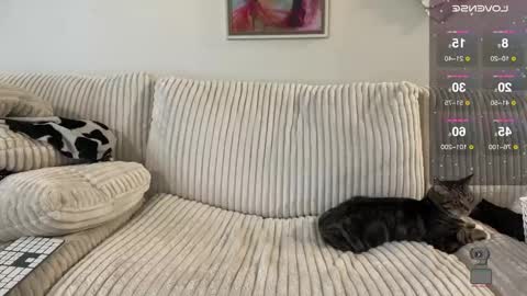 NotUrBabyMoms online show from 12/24/24, 02:54