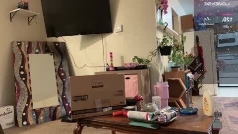 NotUrBabyMoms online show from 01/31/25, 10:52