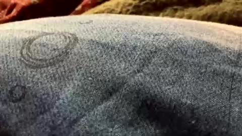 Snapshot of nousernamehello chatting on 12/19/24, 06:01 DarqLight online show from 12/19/24, 06:01