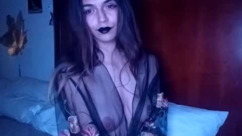 novalovelle online show from 02/08/26, 02:48