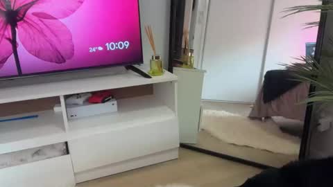 Nova Mills online show from 02/03/26, 12:09