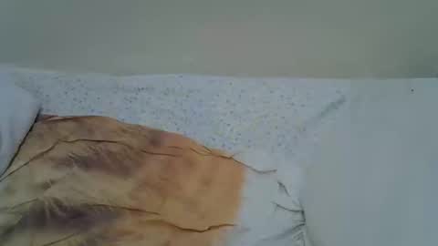 nunu_40 online show from 02/19/26, 05:42