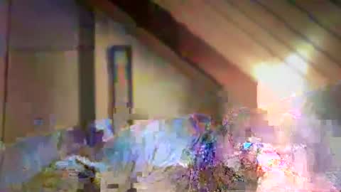 Snapshot of nurod chatting on 12/29/24, 04:40 nurod online show from 12/29/24, 04:40